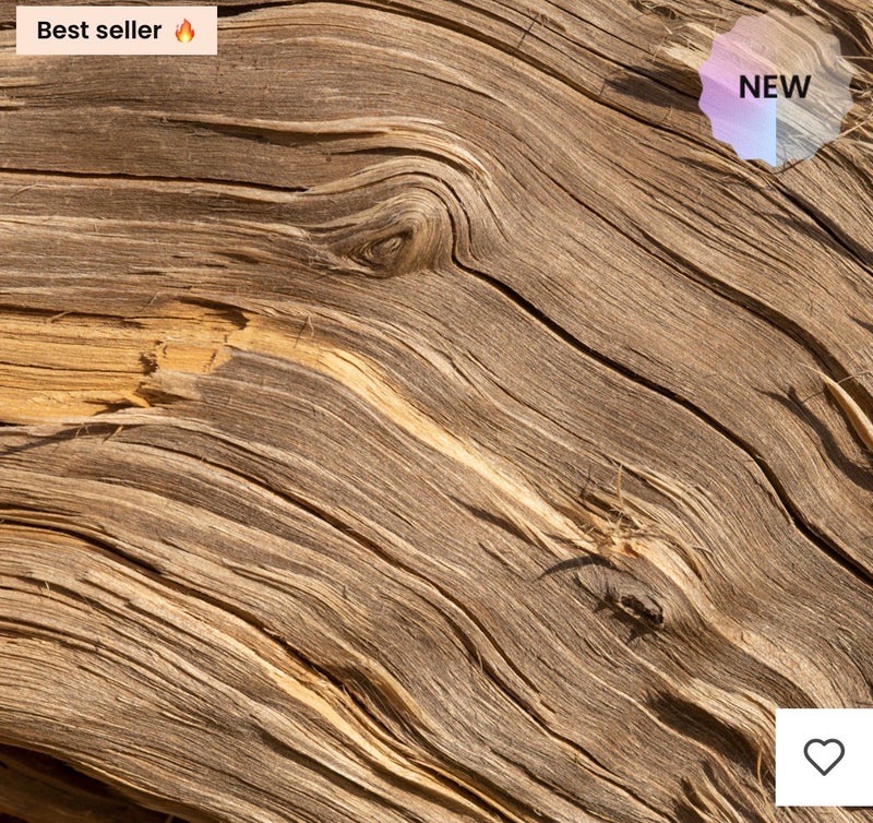 N°146U — Scarlet Fire, vue 2