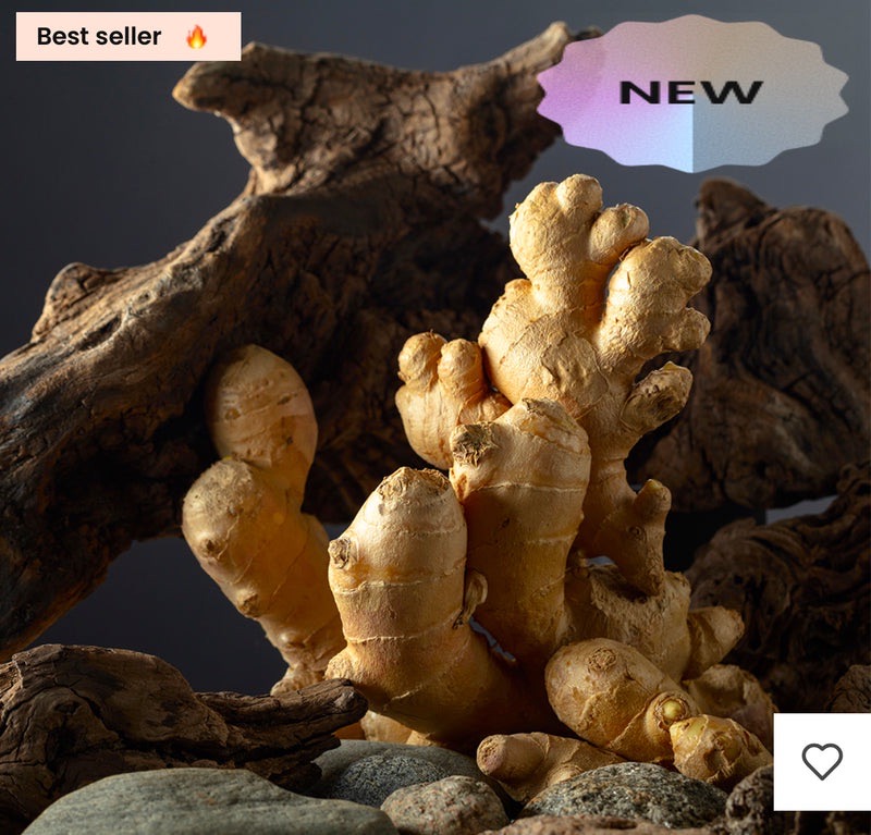 N°148W — Divine Aura, vue 3